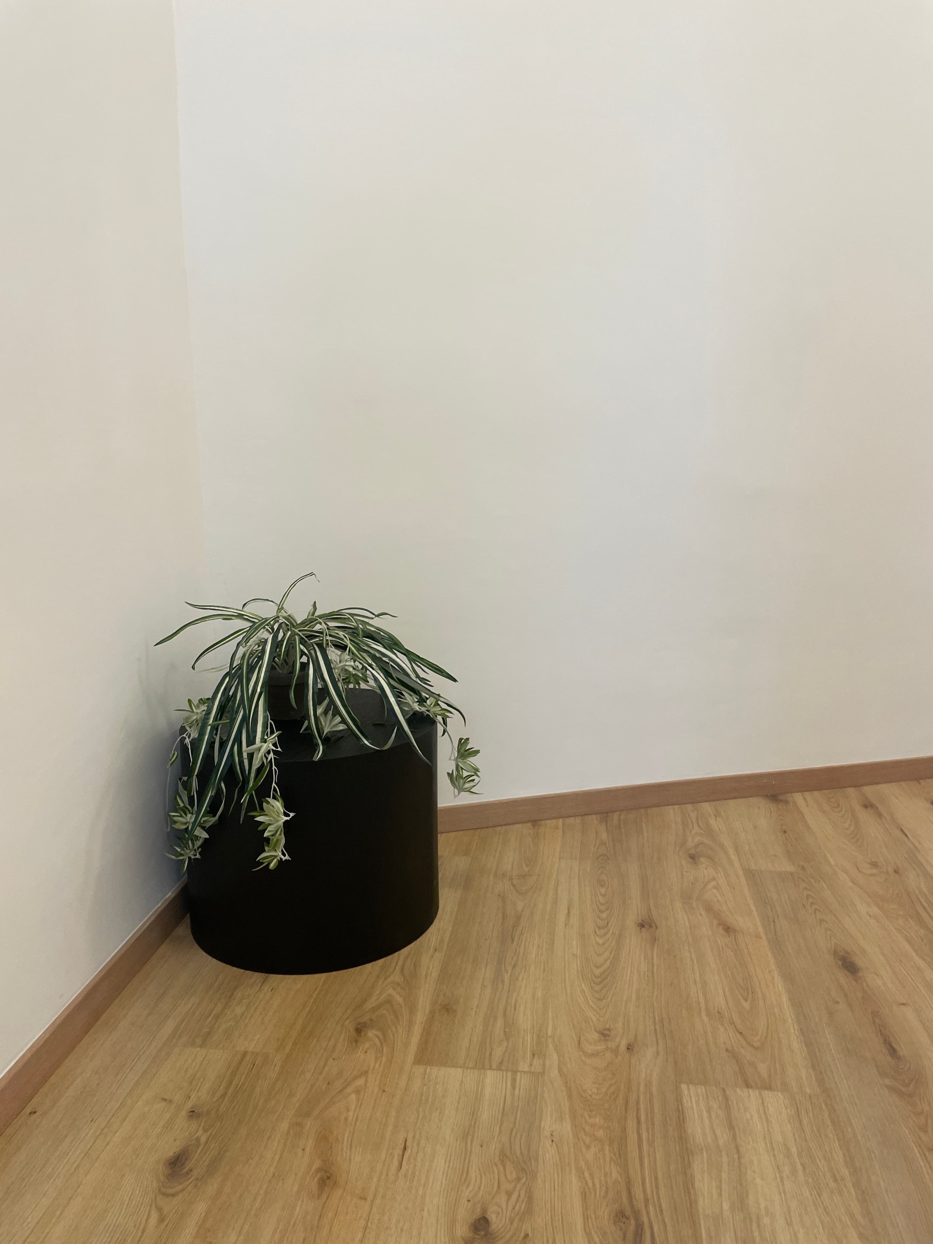 room in apartment