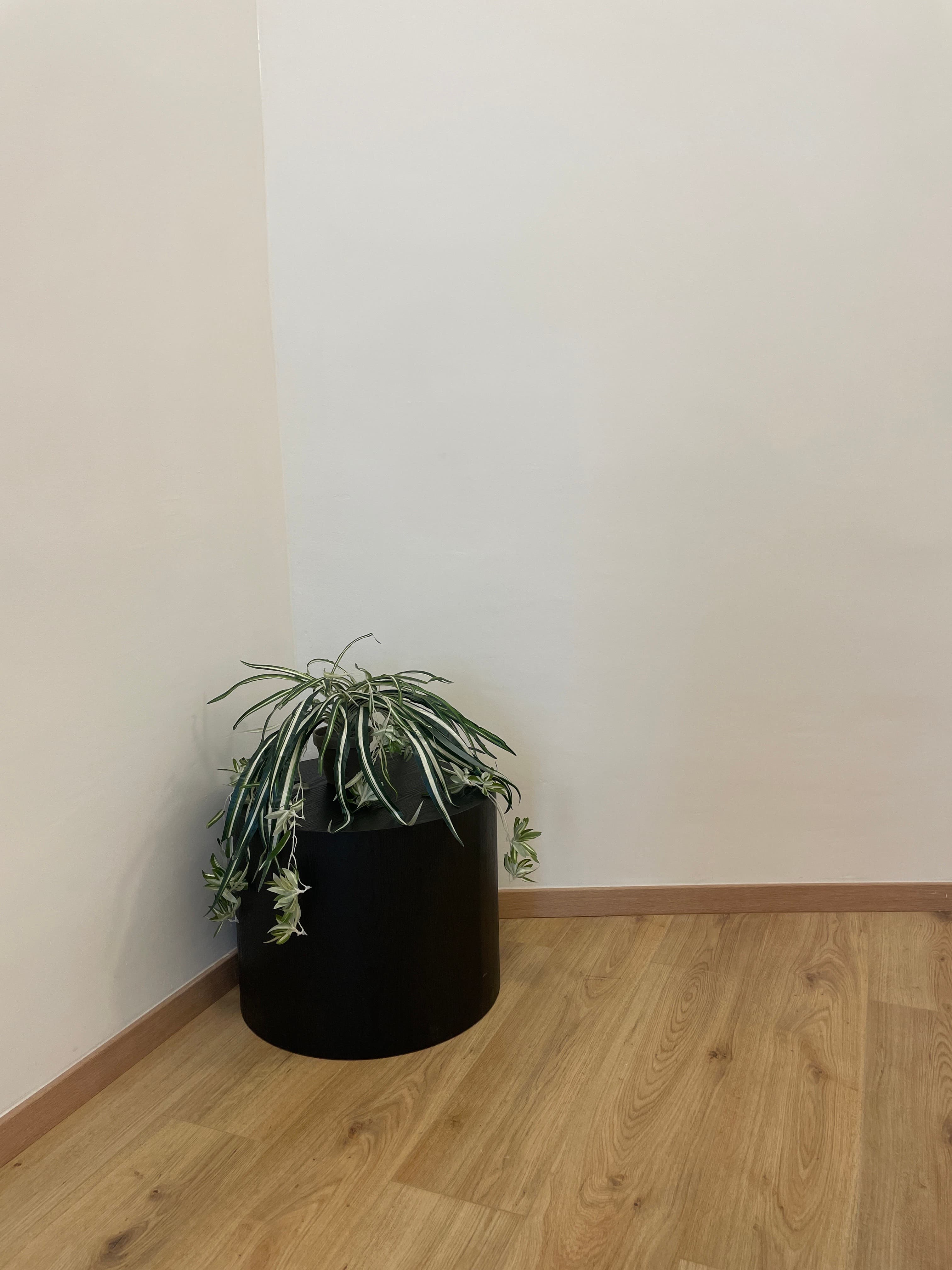 room in apartment