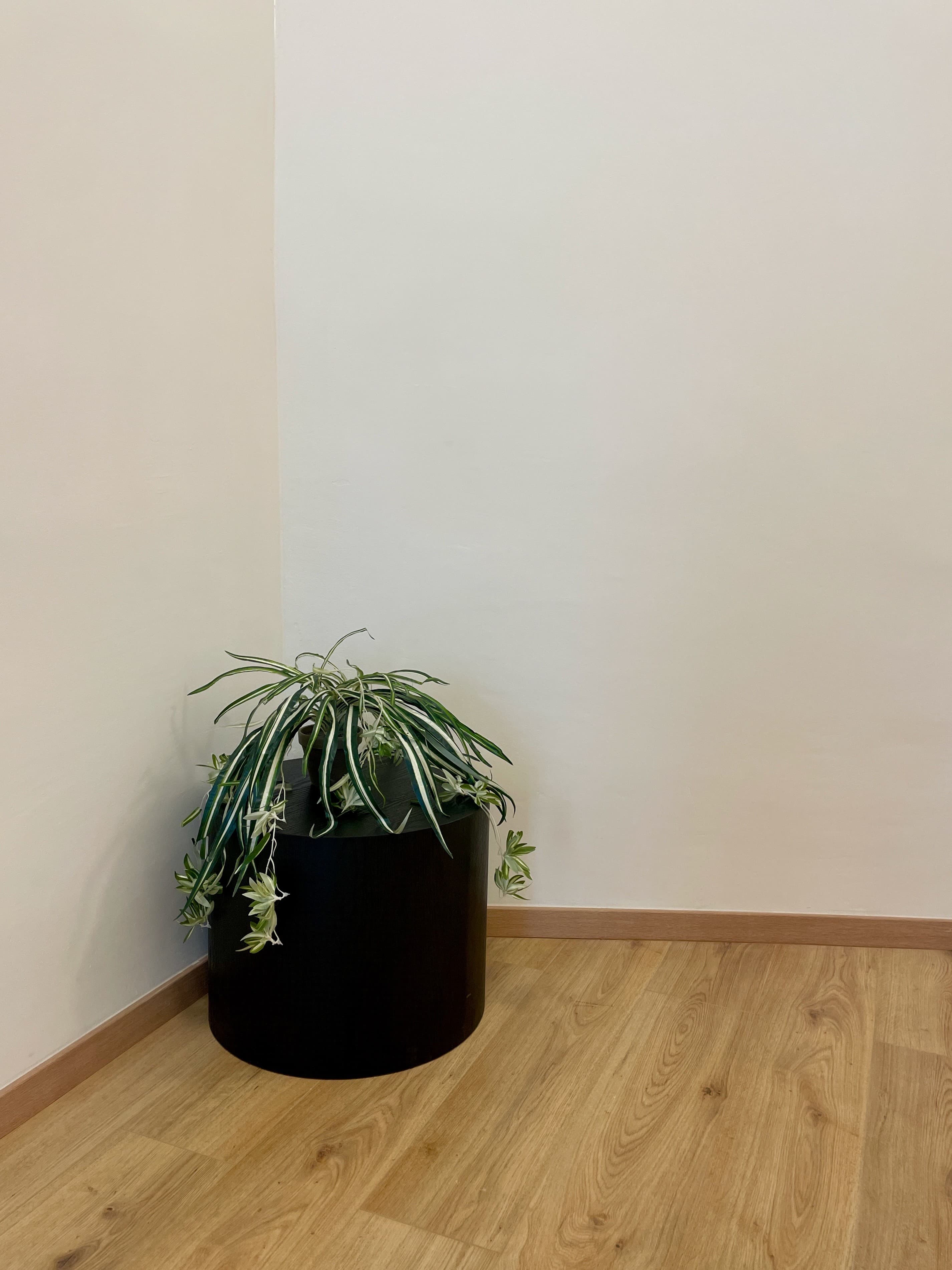 room in apartment