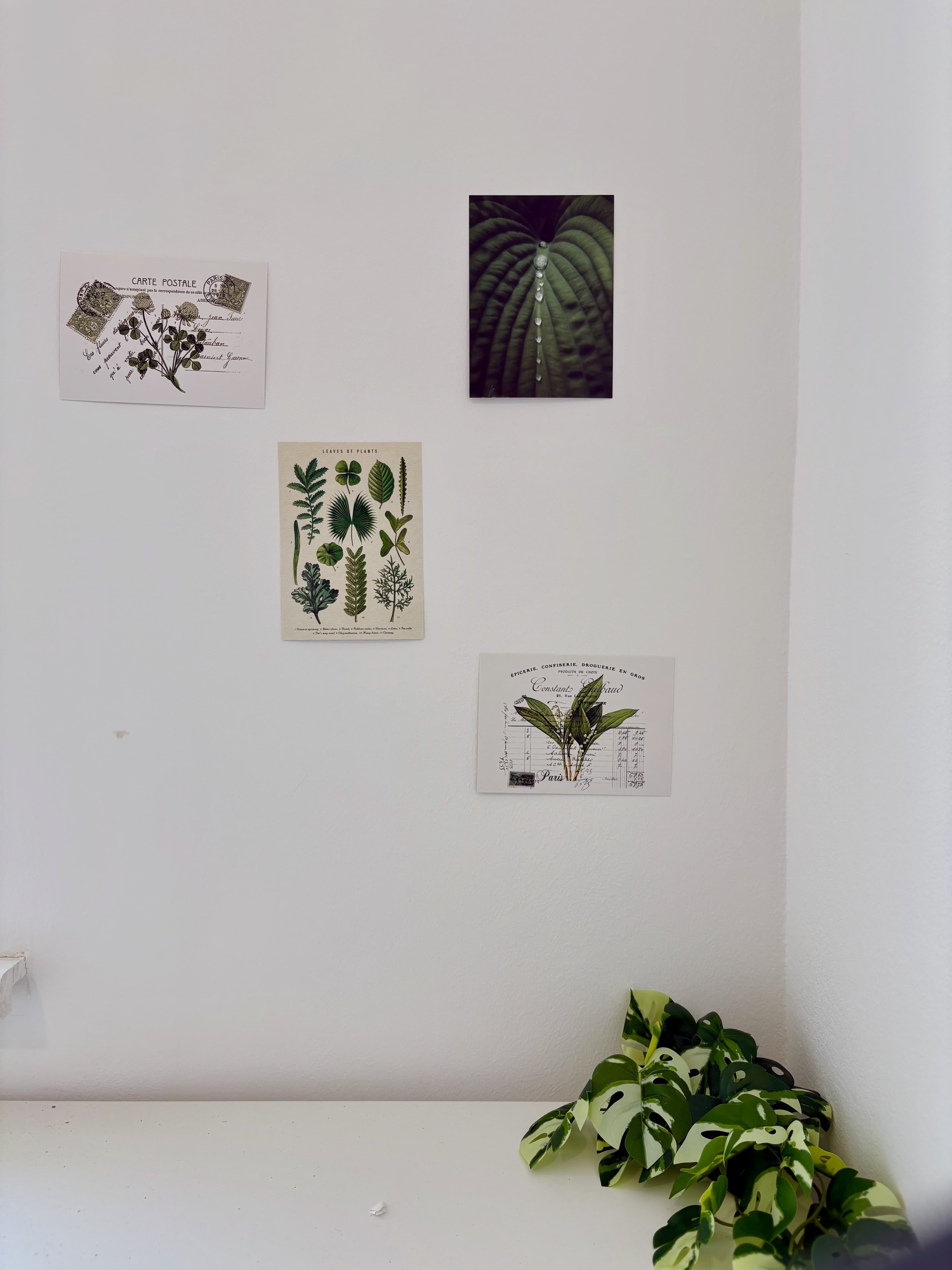 room in apartment