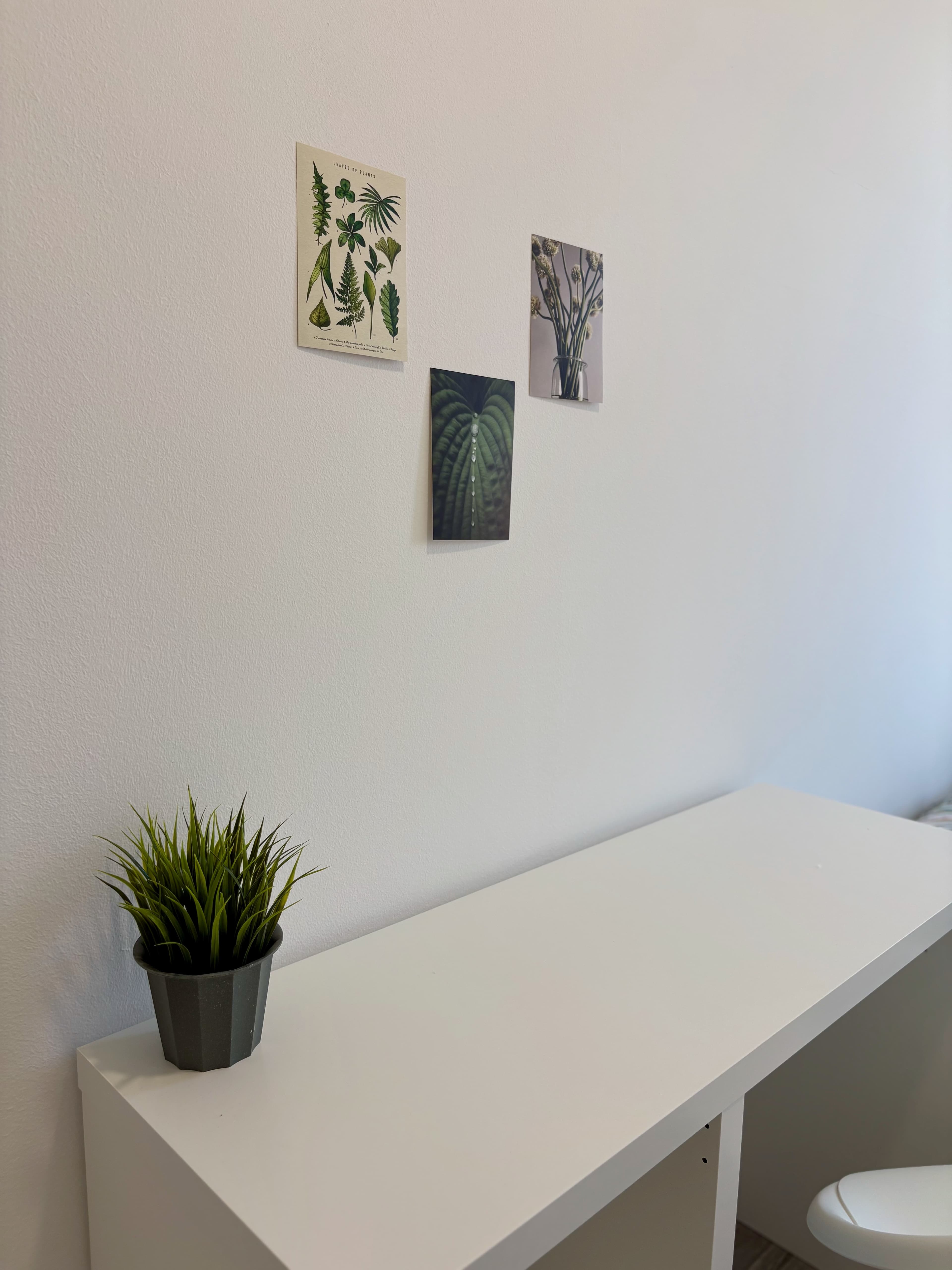 room in apartment